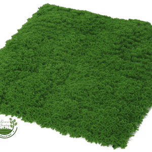 عشب صناعي جداري 3D طحالب أخضر