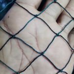 شبك ملاعب 3