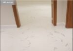 ارضيات باركيه حمامات